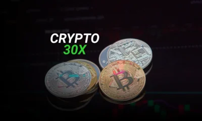 Beware of Crypto30x.com: A Potential Crypto Scam