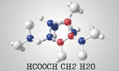The Hydrolysis of Methyl Formate (HCOOCH₃) with Water (H₂O): Mechanism, Kinetics, and Applications
