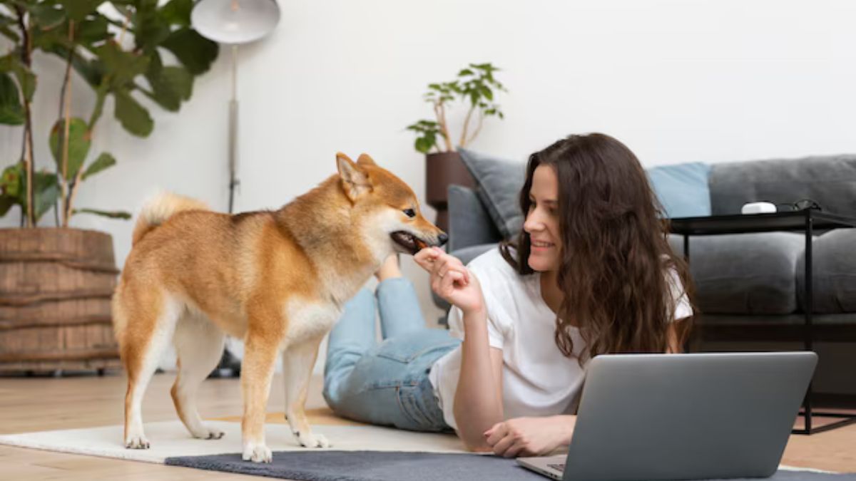The Rise and Reign of PuppygirlXD: Exploring Fame, Fetish, and the Internet’s New Frontier