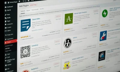 Maintenance WordPress à Nantes : Pourquoi Faire Appel à un Freelance ?